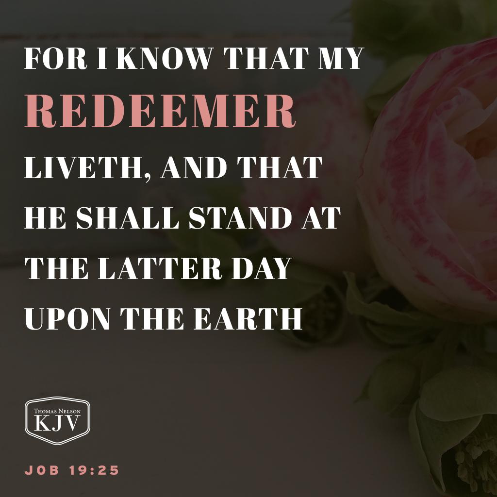 <sup>25</sup> For I know that my redeemer liveth, and that he shall stand at the latter day upon the earth. Job 19:25 