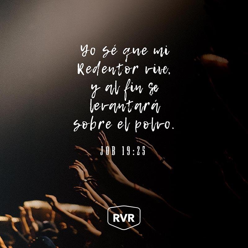 Yo sé que mi Redentor vive, Y al fin se levantará sobre el polvo; Job 19:25 